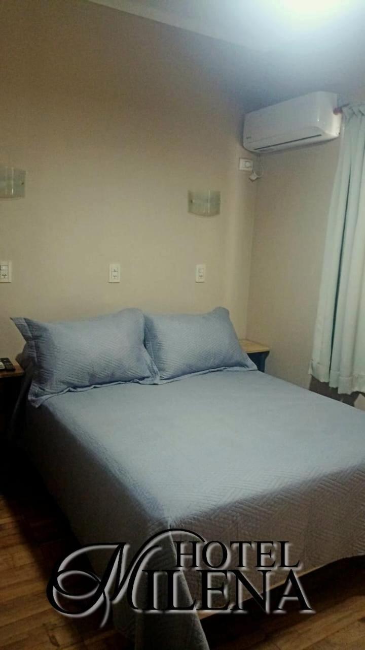 Hotel Milena メンドーサ エクステリア 写真